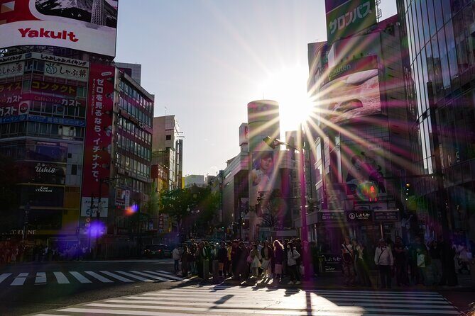 Tokyo City Private Full Day TOUR - Why Choose This Tour? The Value of Personalization