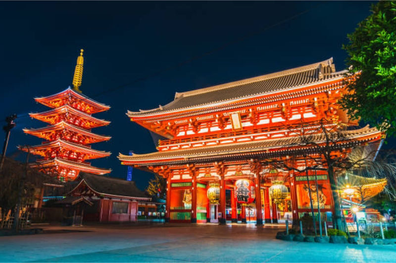 Tokyo City, Private One Day Tour with Hotel Pick up & Drop Off - Lunch and the jump to Shibuya