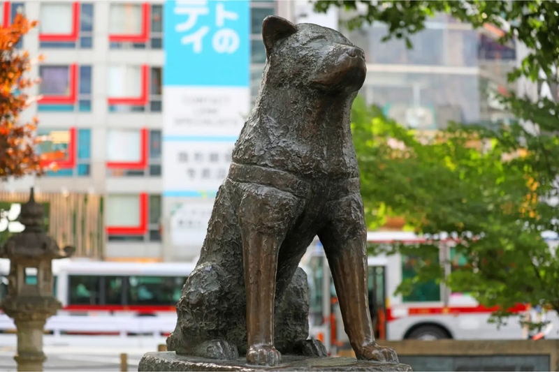 Tokyo City, Private One Day Tour with Hotel Pick up & Drop Off - Meiji Jingu, a quieter finish