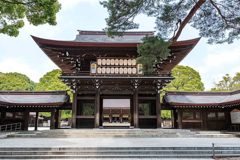 Tokyo City, Private One Day Tour with Hotel Pick up & Drop Off - The long list of alternatives