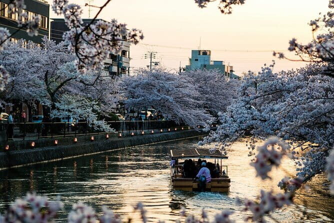 Tokyo City Private Tour With Hotel Pickup - A Perfect Private Day in Tokyo: What to Expect and Why We Love It