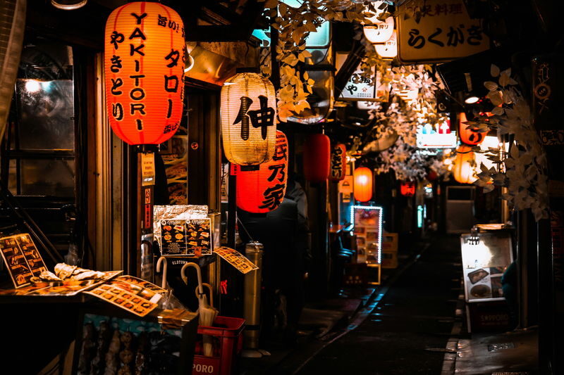 Tokyo City, Shinjuku Nightlife Walking Tour - Starting near Omoide Yokocho
