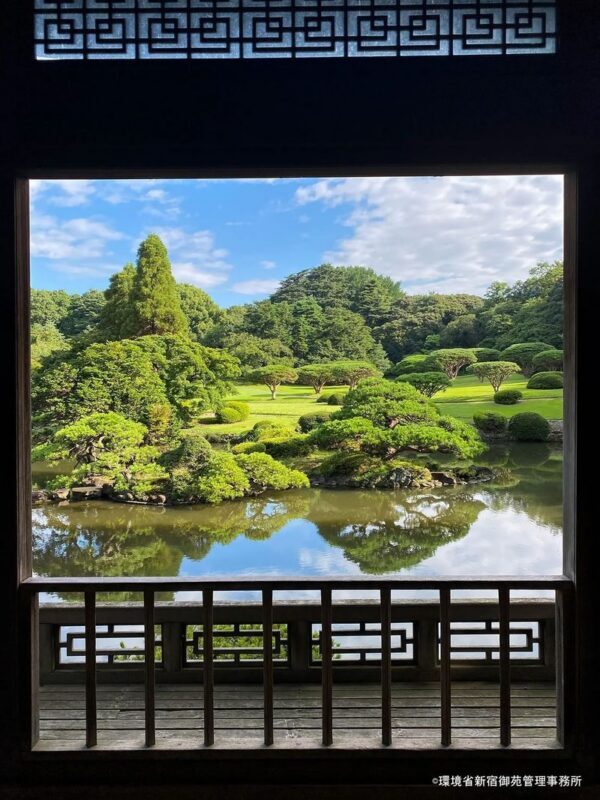 Tokyo City, Shinjuku & Shibuya One Day City Exploration Walking Tour - Meiji Jingu Shrine leads into Harajuku