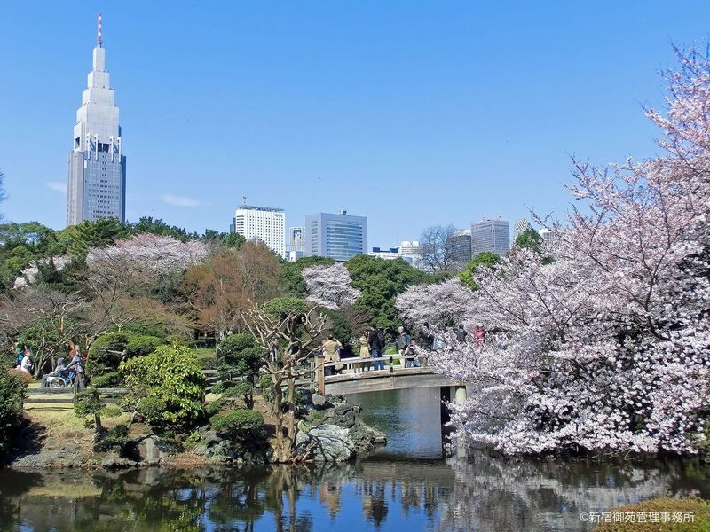 Tokyo City, Shinjuku & Shibuya One Day City Exploration Walking Tour - Shibuya closes the day with famous city sights