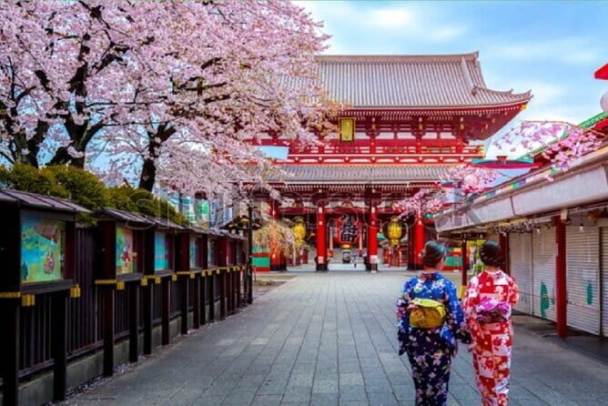 Tokyo City Tour by Private Car & English guide - Discover Tokyo in a Day with a Private Car & Guide