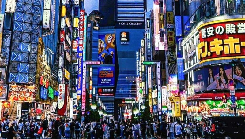 Tokyo City Tour in Shinjuku with Licensed Guide - The Full Experience: What to Expect on the Tour