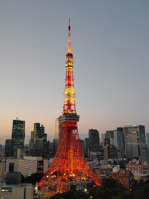 Tokyo: City Tour Tokyo With Driver - FAQ