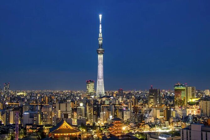 Tokyo City Transfer to Tokyo Disneyland Private Car Adventure - Who Should Consider This Service?