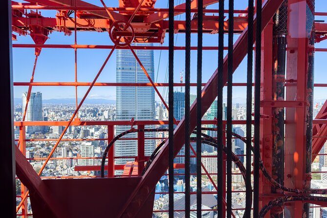 Tokyo City Walking Tour: Tokyo Tower Zojoji Temple and Shiba Park - In Summary