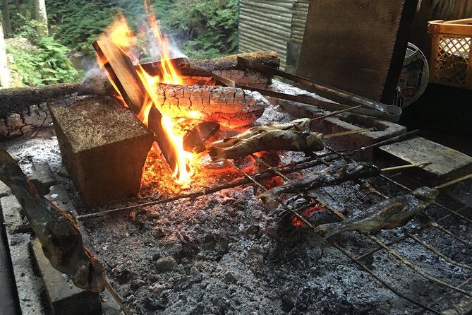 Tokyo Countryside Exploration Private Tour - Key Points