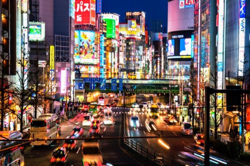 Tokyo: Customizable Private Tour with Hotel Pickup&Dropoff - Who Will Love This Tour?