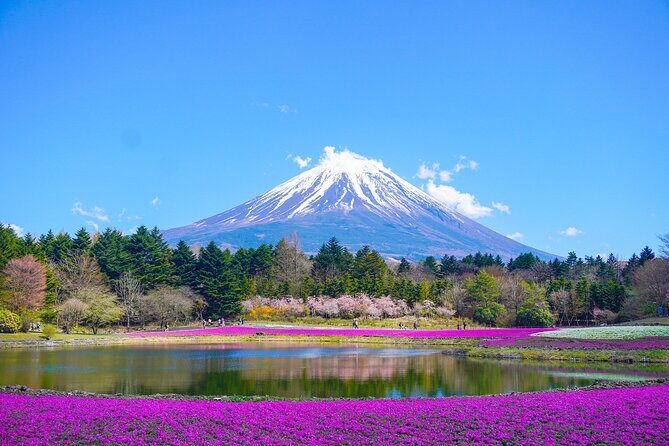 Tokyo: Customized Mt. Fuji & Hakone Sightseeing Private Day Trip - Discover Mount Fuji & Hakone on a Private Day Trip from Tokyo