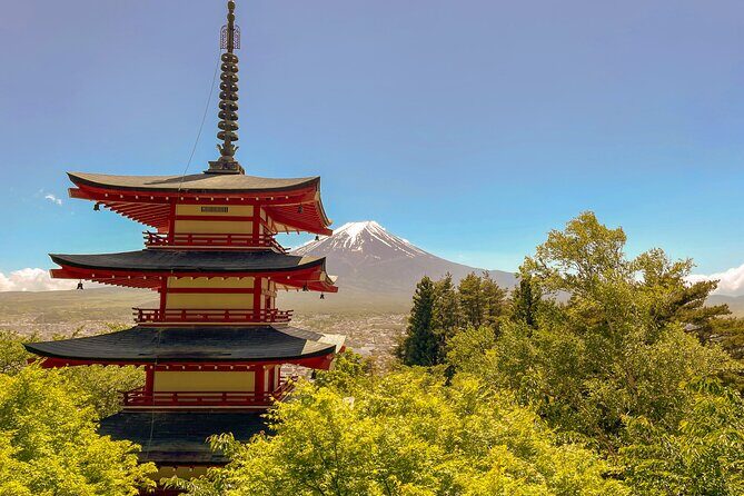 Tokyo: Customized Mt. Fuji & Hakone Sightseeing Private Day Trip - The Sum Up
