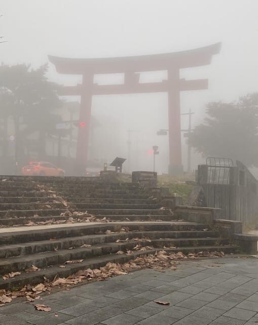 Tokyo: Customized Private Tour with a Local Guide - An In-Depth Look at What to Expect