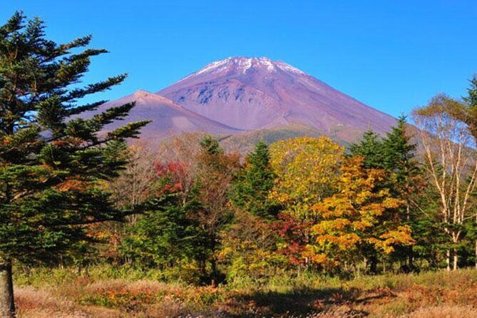 Tokyo Day Tour in Mt.Fuji,Hakone,Cruise,ropeway,Shinkansen w/Meal - A Taste of Japan at Kawaguchiko