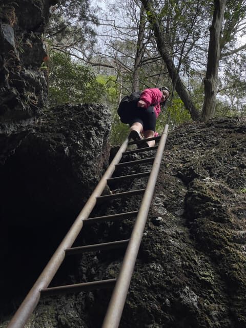 Tokyo Day Trip : Mountain Ridge Adventure - Key Points