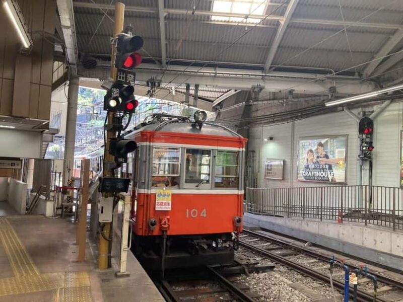 Tokyo: Day Trip to Hakone by Train with Lake Ashi Cruise - The Sum Up: Is This Tour Right for You?