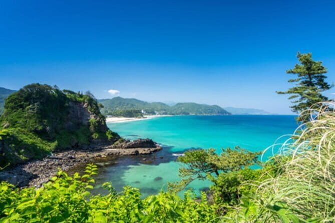 Tokyo Day Trip to Izu and Shimoda - Key Points