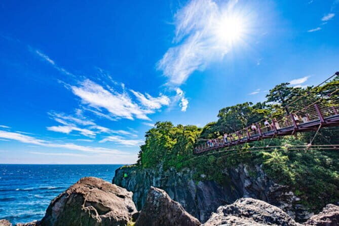 Tokyo Day Trip to Izu and Shimoda - An In-Depth Look at the Izu and Shimoda Day Trip