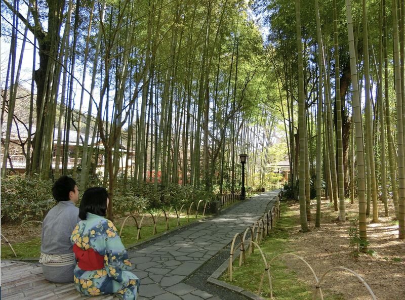 Tokyo Departure: Izu/Atami Customized Private Car Day Tour - Jogasaki Coast or Shuzenji: choose the mood