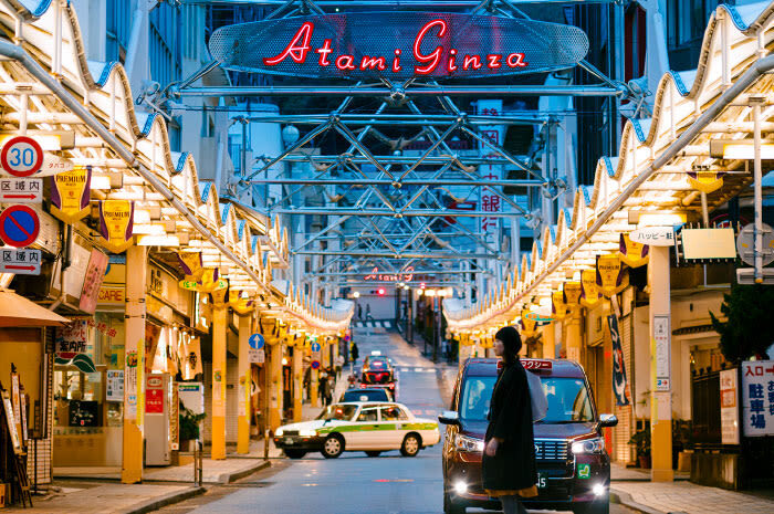 Tokyo Departure: Izu/Atami Customized Private Car Day Tour - What the private car changes