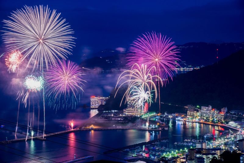 Tokyo Departure: Izu/Atami Customized Private Car Day Tour - A few practical details before you go