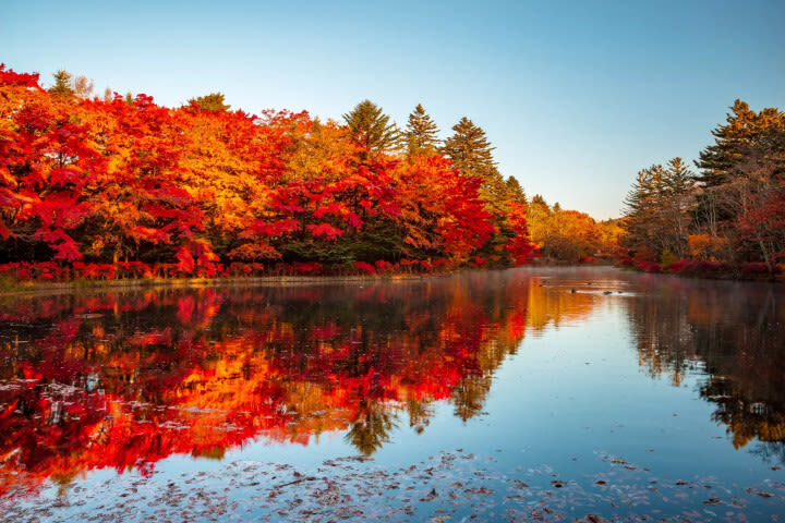 Tokyo Departure | Nikko/Karuizawa/Gunma/Yokohama Customized Private Car Charter Day Trip - Karuizawa: a resort town with room for varied stops