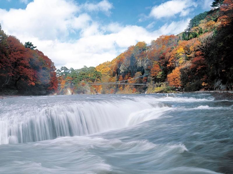 Tokyo Departure | Nikko/Karuizawa/Gunma/Yokohama Customized Private Car Charter Day Trip - Language support and the limits of the service