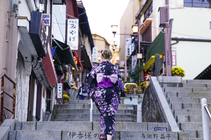 Tokyo Departure | Nikko/Karuizawa/Gunma/Yokohama Customized Private Car Charter Day Trip - Is the charter worth the starting price?
