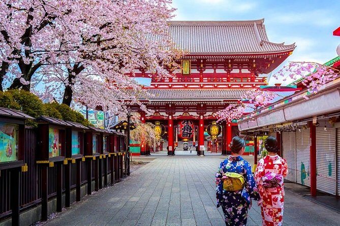 Tokyo Departure Private Transfers from Tokyo City to Tokyo-Narita Airport NRT - The Sum Up