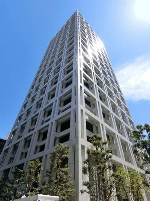 Tokyo: Discover Japanese Politics Over a coffee - What to Expect from the Experience