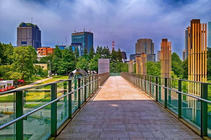 Tokyo Discovery: Custom Tours, Culture & City Views - What Travelers Say