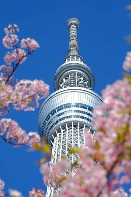 Tokyo Discovery: Custom Tours, Culture & City Views - Frequently Asked Questions