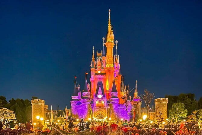 Tokyo Disney Resort Park E-Tickets with Optional Tokyo Metro Pass - Who Should Consider This Tour?