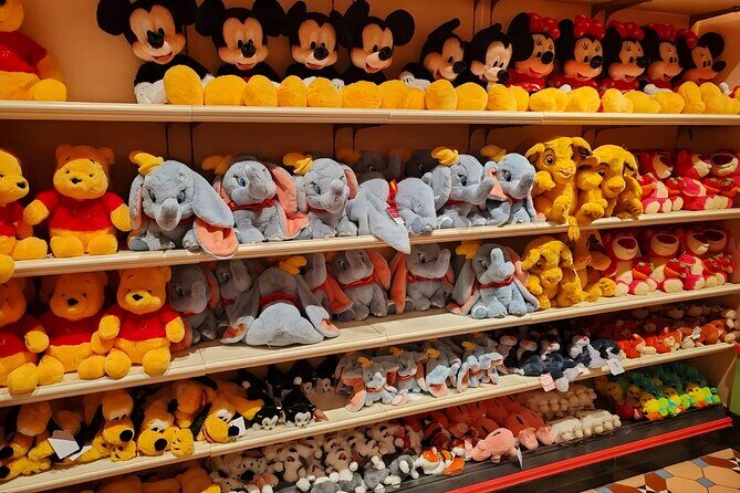 Tokyo Disneyland 1-Day Pass with Private Hotel Pick-Up & Drop-Off - Frequently Asked Questions