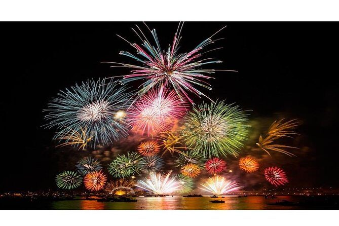 Tokyo Disneyland Shared Transfer : from Tokyo to Disneyland (One Way) - A Detailed Look at the Tokyo Disneyland Shared Transfer