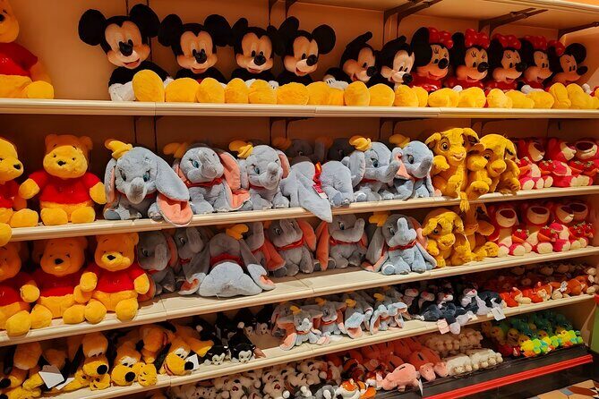 Tokyo Disneyland Ticket & Tokyo Subway Pass - Authentic Experiences and Practical Tips