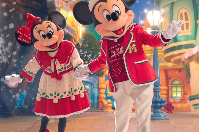 Tokyo Disneyland Ticket & Tokyo Subway Pass - FAQs