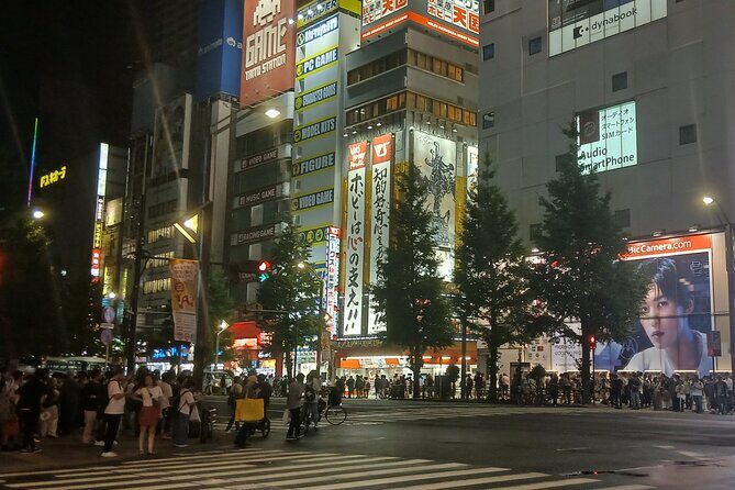 Tokyo Downtown Akihabara Tour And Dinner Party Adults Only - Key Points
