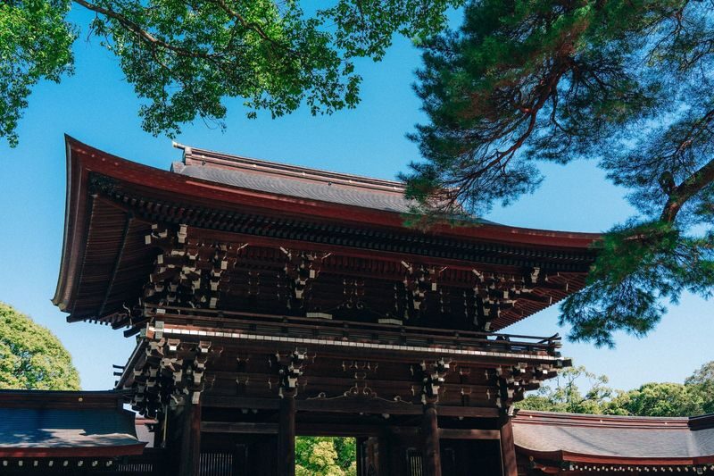 Tokyo Early Morning Tour Asakusa Meiji Shrine and Tsukiji Market - The useful details at a glance