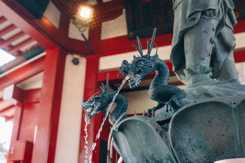 Tokyo Early Morning Tour Asakusa Meiji Shrine and Tsukiji Market - Finding quiet at Meiji Jingu Shrine