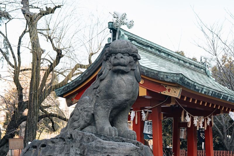 Tokyo Early Morning Tour Asakusa Meiji Shrine and Tsukiji Market - What the morning’s pace means for you