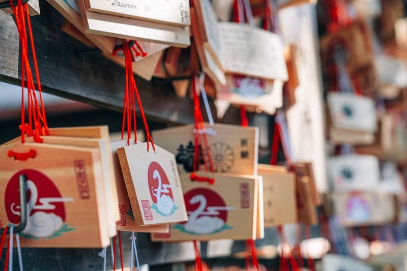 Tokyo Early Morning Tour Asakusa Meiji Shrine and Tsukiji Market - Should you book this Tokyo morning tour?