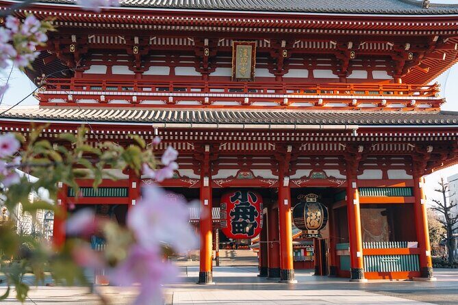 Tokyo Early Morning Tour Asakusa Meiji Shrine and Tsukiji Market - Key Points