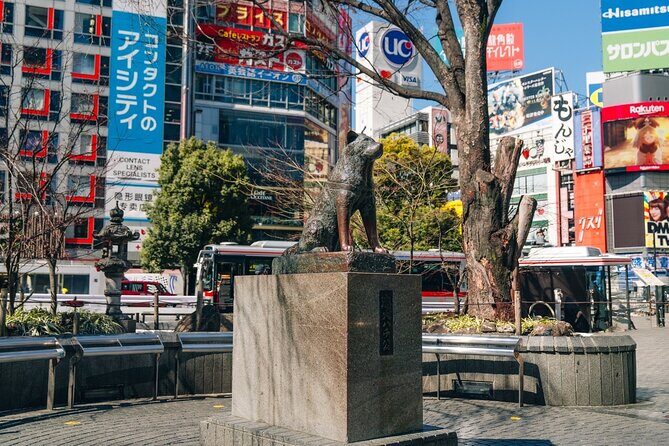 Tokyo Early Morning Tour Asakusa Meiji Shrine and Tsukiji Market - Frequently Asked Questions