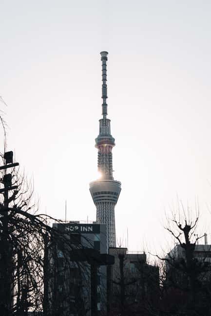 Tokyo Early Morning Tour Asakusa Tsukiji Meiji Shrine - Who Will This Tour Suit?