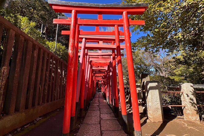 Tokyo, Encounter Cultural Heritage & enjoy the old town - In-Depth Review of the Tour