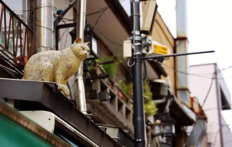 Tokyo: Encounter Cultural Heritage & enjoy the old town - Exploring Tokyo’s Old Town: A Deep Dive