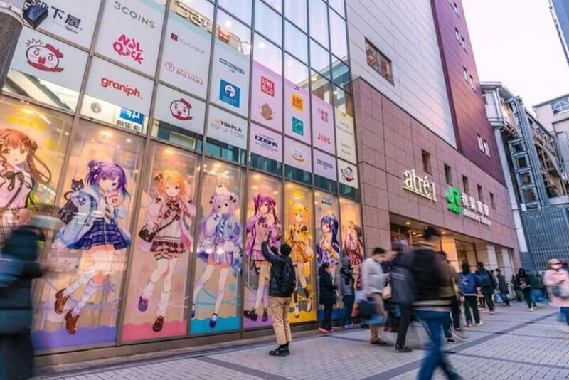 Tokyo: Exploring Anime & Electronics Tour in Akihabara - Who Will Enjoy This Tour?