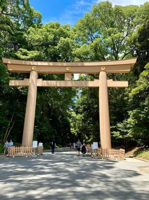 Tokyo Family Private Tour: Meiji Shrine & Sanrio Puroland - Practical Details and Tips